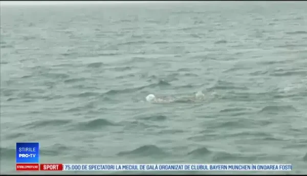 Un britanic a traversat înot Canalul Mânecii. Ce mesaj a vrut să transmită