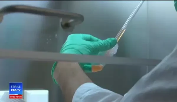 Ca într-un film SF, carnea produsă în laborator ar putea să ajungă anul acesta în restaurantele din SUA