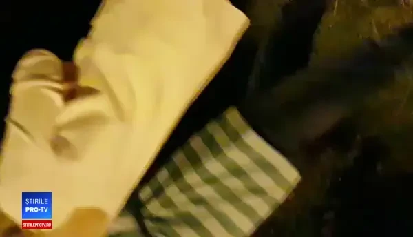 Dragnea a invitat șefii din PSD la un restaurant din Neptun. Cum a fost surrinsă iubita lui în acest timp. FOTO