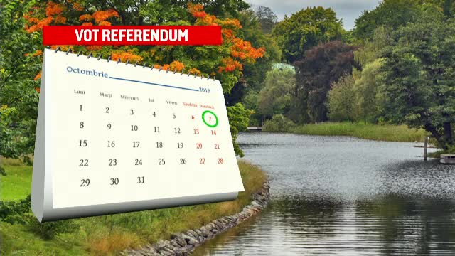 Referendumul pentru redefinirea familiei în Constituţie va avea loc pe 7 octombrie