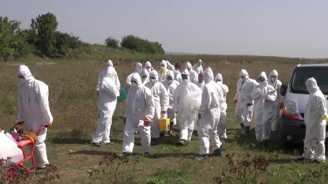 Autoritățile încep să aloce despăgubirile pentru cei care au rămas fără porci din cauza pestei