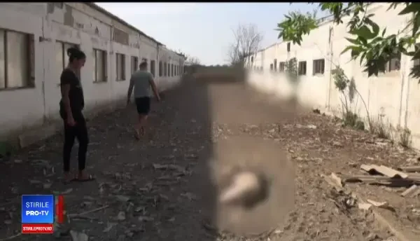 Imaginile dezastrului în Buzău. E focar de infecție. Acuzațiile unui fermier