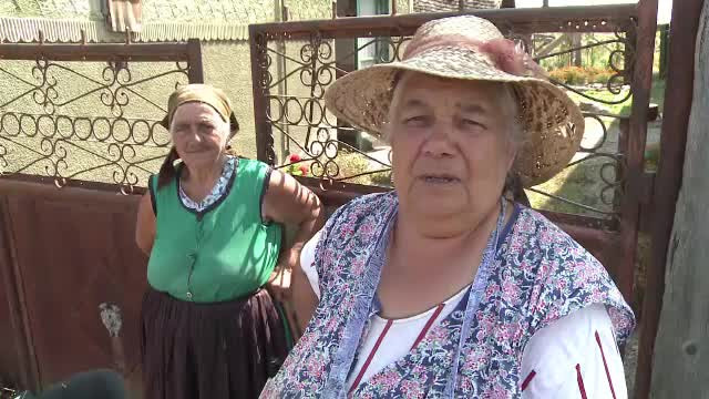 Primarii din Sibiu nu știu cum să facă dezinsecția pentru combaterea virusului West Nile