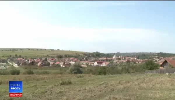 Primarii din Sibiu nu știu cum să facă dezinsecția pentru combaterea virusului West Nile