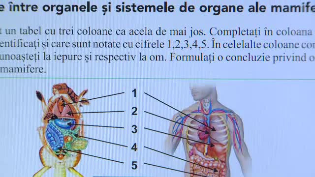 Şi manualele de biologie pentru clasa a VI-a sunt greşite. Expert: "Par făcute pe calorifer"