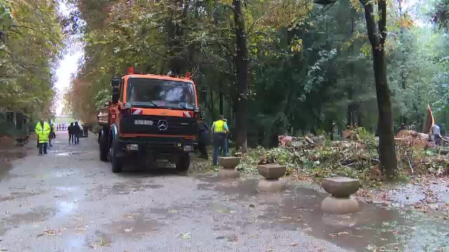 Furtună în Târgu Jiu. Trei copaci au căzut chiar lângă operele lui Brâncuşi