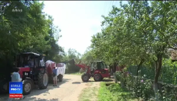 Despăgubirile pentru porcii sacrificaţi întârzie. Oamenii se plâng că au fost căntâriţi din ochi