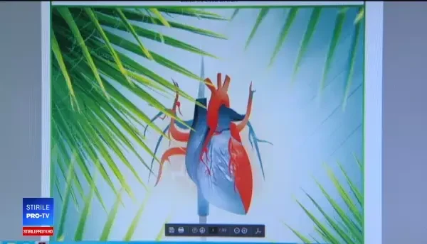 Şi manualele de biologie pentru clasa a VI-a sunt greşite. Expert: Par făcute pe calorifer