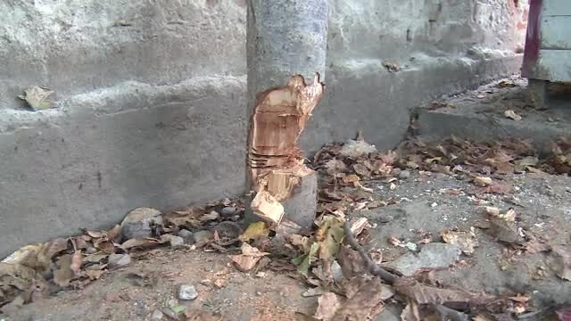 Un bărbat a murit după ce a vrut să taie cu flexul. Nicio ambulanță n-a fost disponibilă să-l ducă la spital