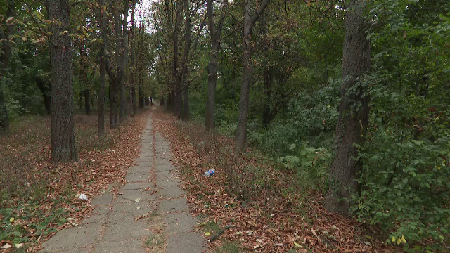 Controversele din spatele deciziei PMB de a cumpăra Parcul Verdi, din zona Floreasca