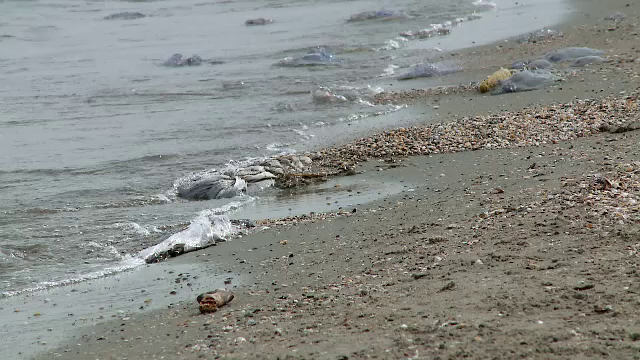 Marea Neagră riscă să ajungă printre cele mai poluate mări din Europa