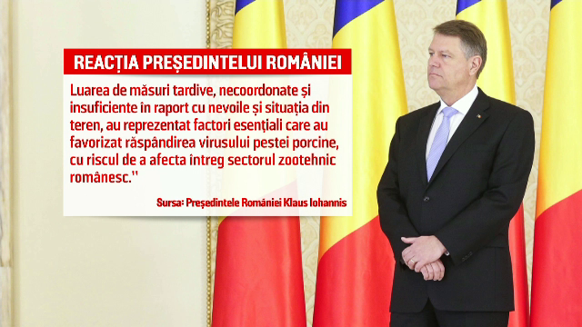 Anchetă fără precedent a Parchetului General privind pesta porcină africană