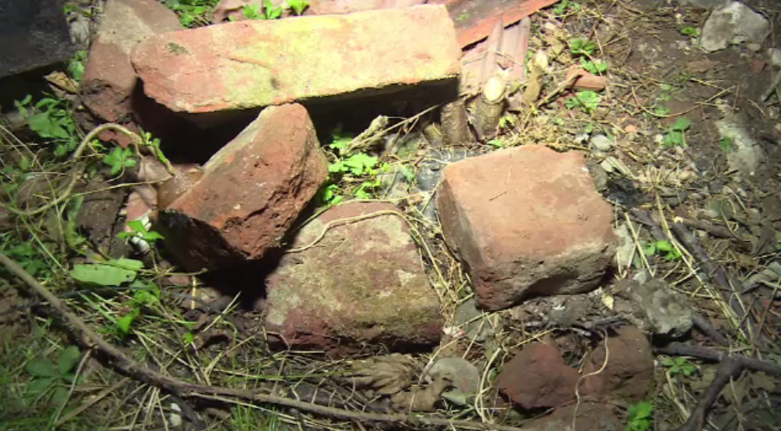 Bărbat atacat cu sălbăticie de nepotul său cu o cărămidă. Suspectul, internat la psihiatrie