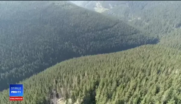 Liber la vânat înLiber la vânat în România: "Vorbim de un dezastru ecologic în perioada următoare”România: