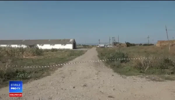 Dezastrul pestei porcine se amplifică. Suma primită de o femeie care creștea 5 porci