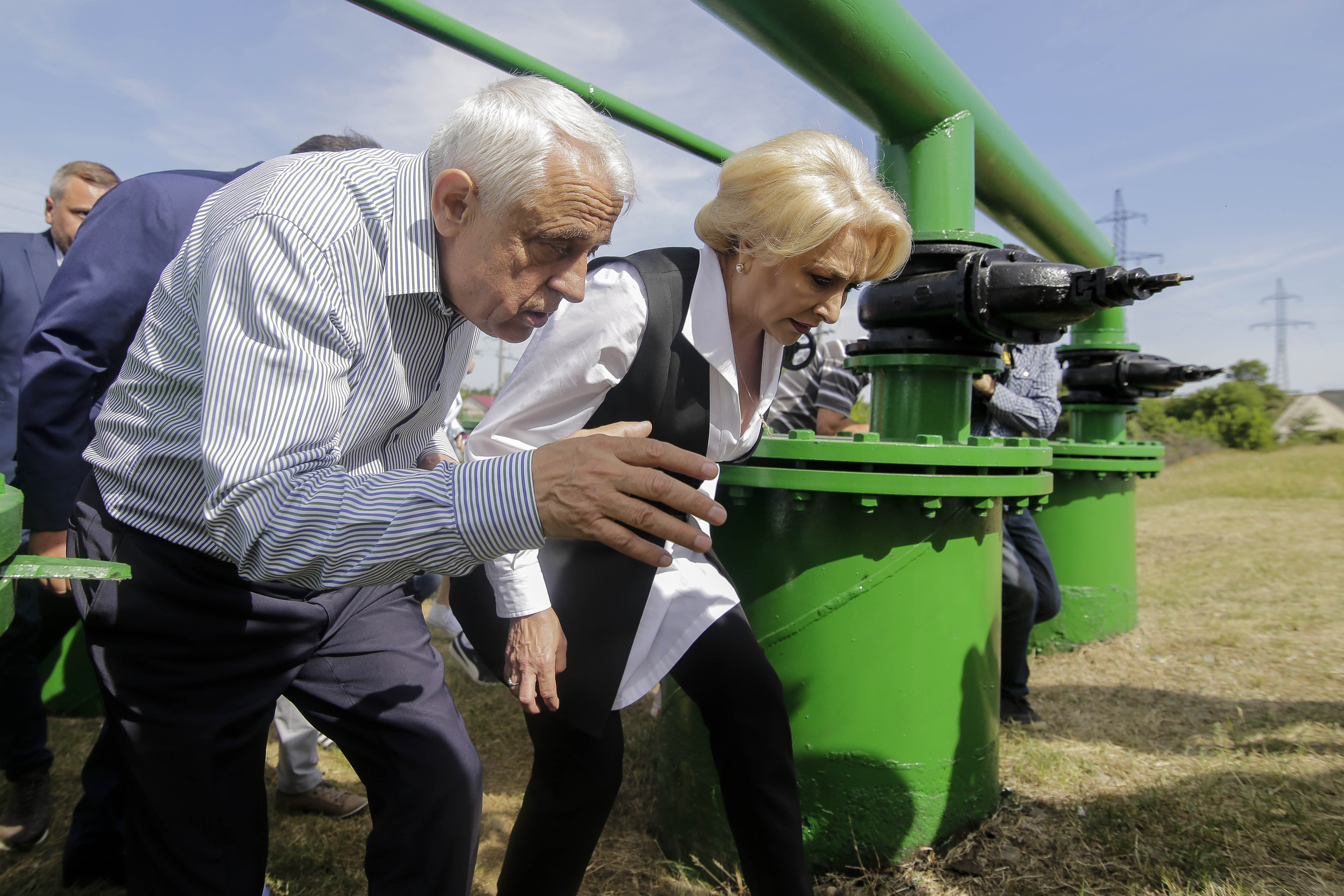 Daea vrea să distrugă cuiburile cormoranilor. ”Dacă ar pune ouăle pe stradă, le-am aduna”