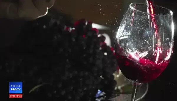 Turiştii străini vin la noi pentru a-şi face vacanţa în crame. Reacţia lor după primul pahar