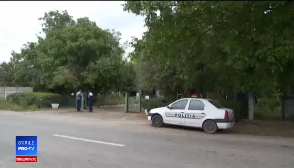 Incendiu la o fermă de porci. Animalele care au supraviețuit vor fi eutanasiate