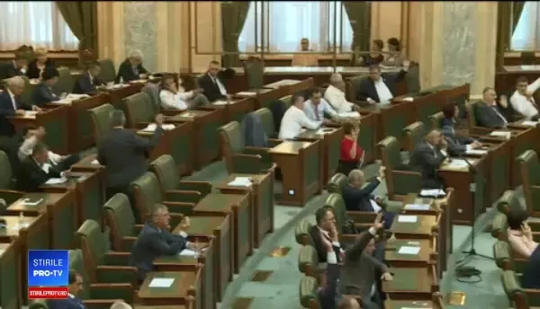 Vot important în Senat. Aleșii au adoptat propunerea de revizuire a Constituției pentru redefinirea familiei