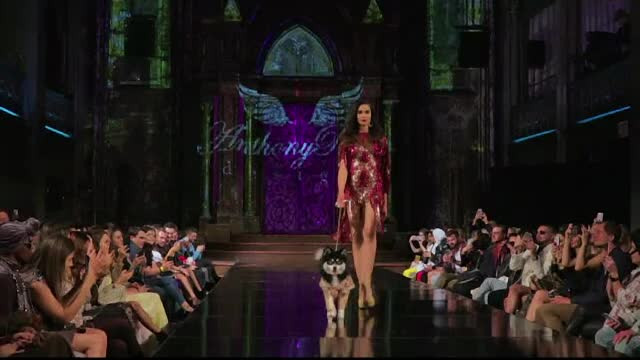 Săptămâna modei la New York. Colecţia pentru doamne şi câinii lor de companie