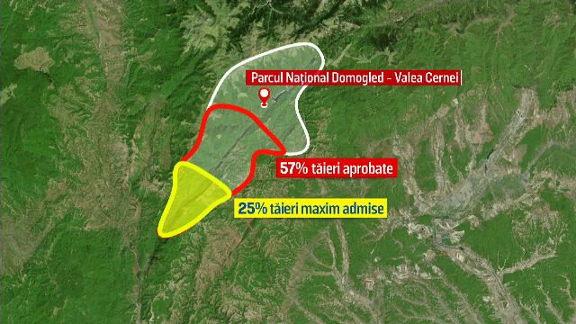 defrisari, Parcul National Domogled, romania, paduri