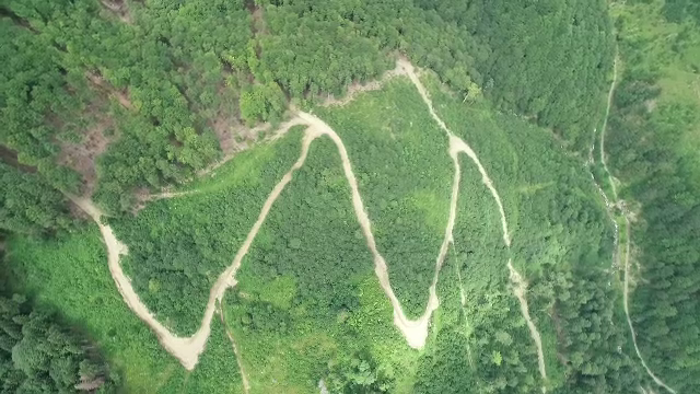 defrisari, Parcul National Domogled, romania, paduri