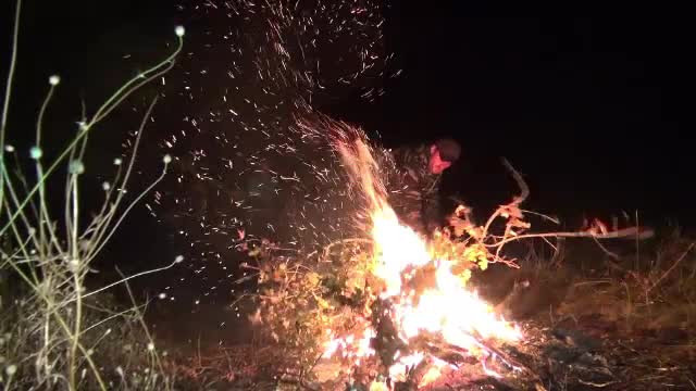 Satul unde oamenii stau de pază cu rândul de teama mistreţilor. Porcii atacă în plină zi