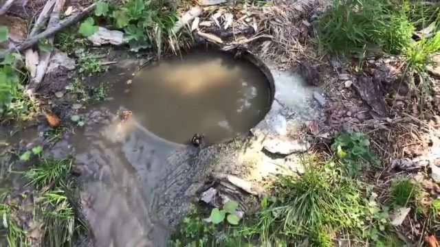 Un munte de prostie, partea I. Rânca, colțul de rai distrus de oameni care au construit aici fiecare după cum l-a tăiat capul