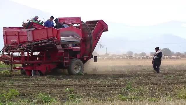 Credite mai ieftine pentru tinerii care vor să devină fermieri. În ce condiții pot face împrumuturi