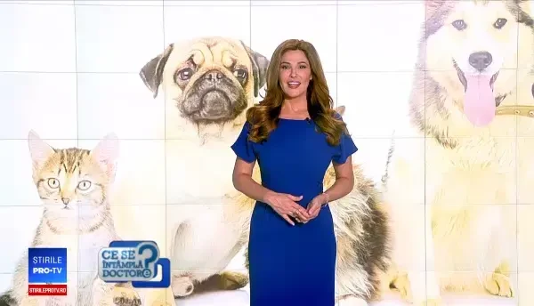 Beneficiile de a avea în casă o pisică sau un câine. Cum îşi protejează stăpâna motanul Bob