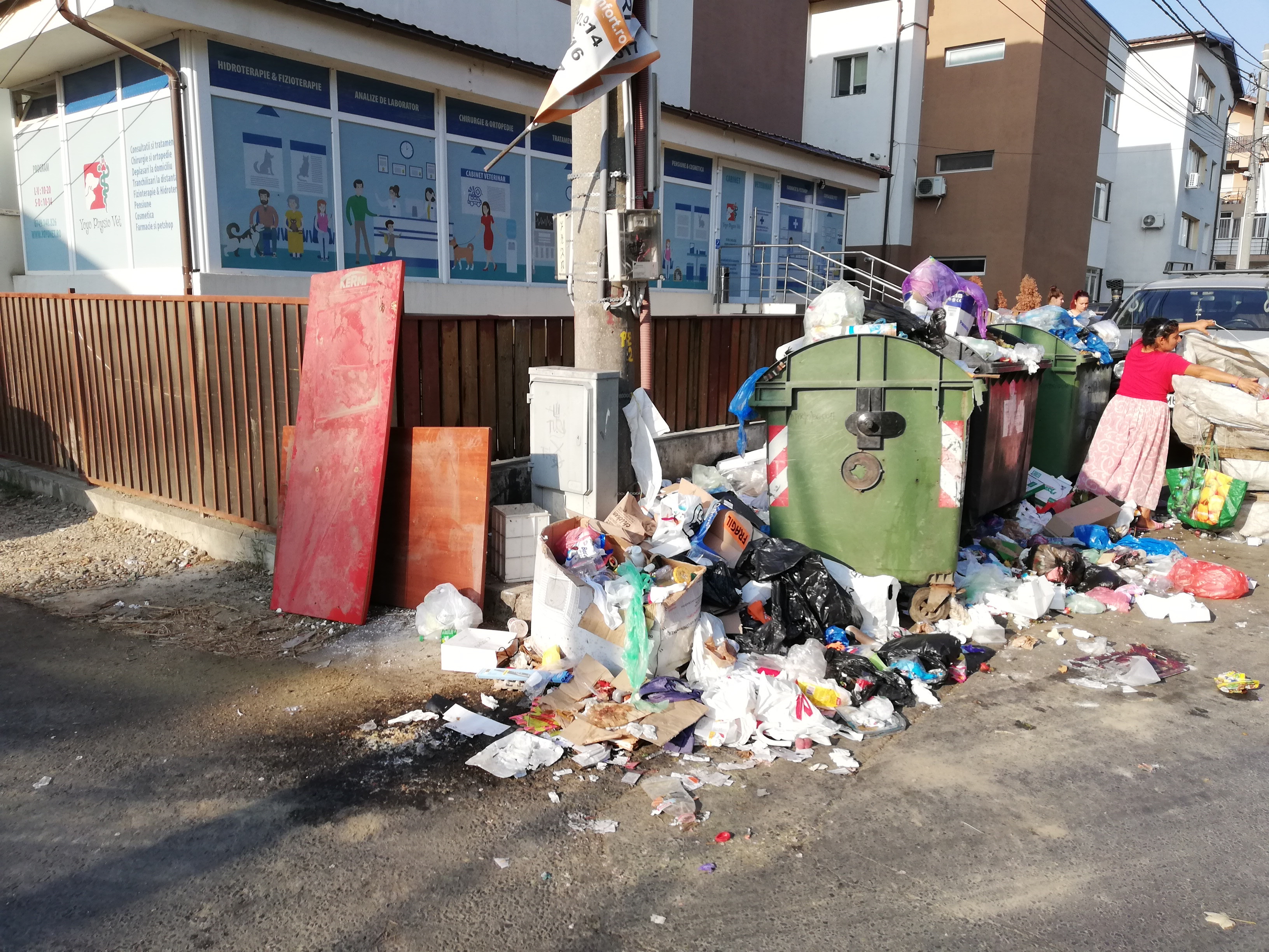 Mai multe străzi din București sunt pline de gunoaie. Locuitorii sectorului 3, disperați