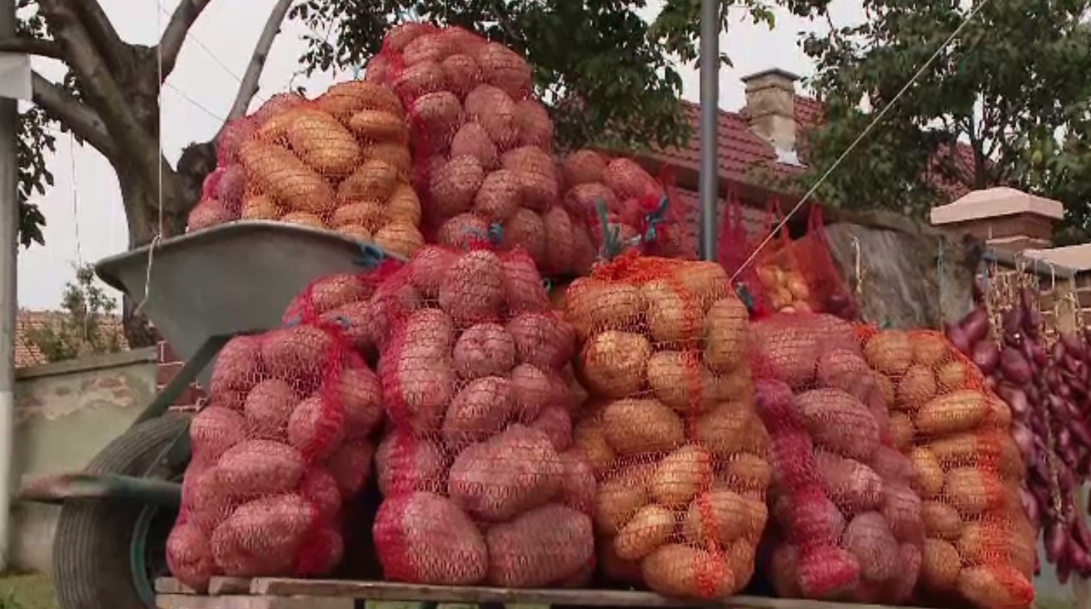 Românii au început să-și facă provizii pentru iarnă. Cartofii, mai scumpi decât anul trecut