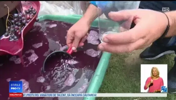 Tradiții românești în luna septembrie. ”Răvășitul oilor” atrage turiștii cu must și pastramă