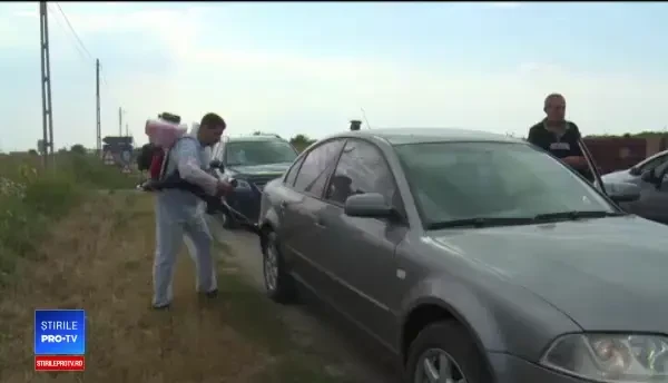 Nou focar de pestă porcină, în Dâmbovița, al 13-lea județ. Comitet de urgență