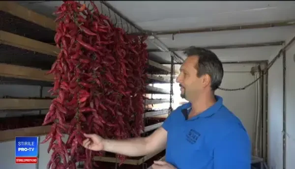 Condimentul afectat de vremea capricioasă. Kilogramnul se vinde cu 70 lei