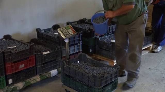 Afinele de cultură românești ar putea să ajungă și în marile magazine. Inițiativa proprietarilor