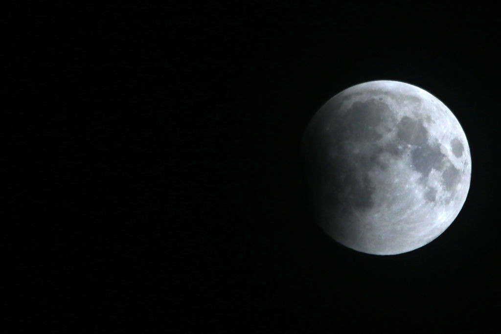 Space X va anunța în câteva ore numele primului turist care va zbura în jurul Lunii