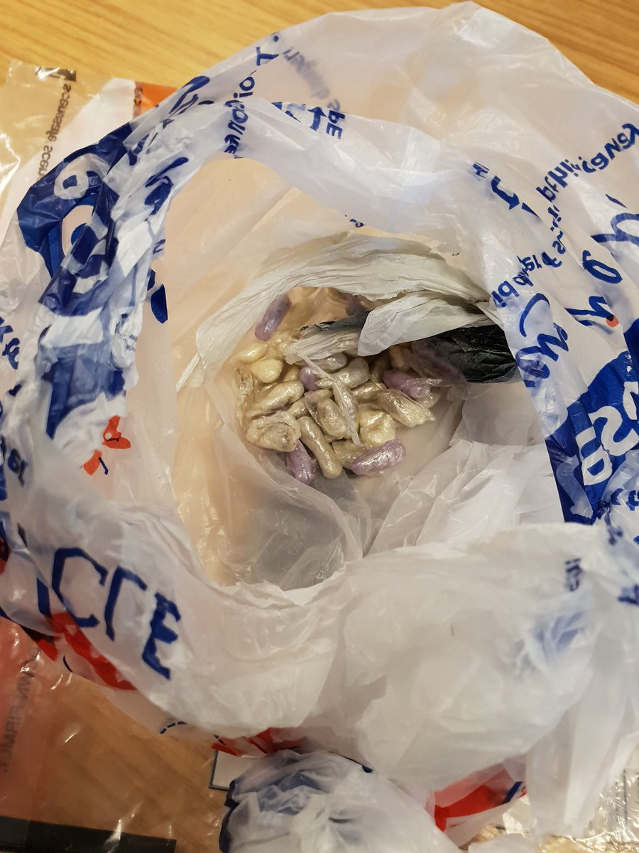 O pisică a adus acasă o pungă plină cu droguri. Reacţia proprietarului