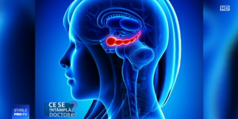 Ce înseamnă pentru creier materiile multe, grele și puțin importante de la școală