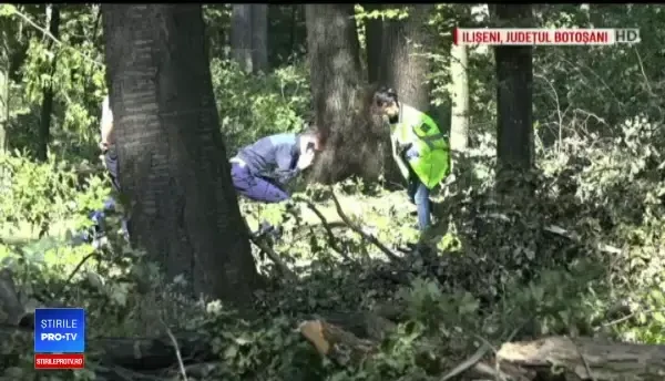 Bărbat din Suceava, mort într-un accident sinistru, în timp ce tăia un copac cu drujba