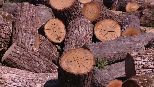 Lemnele de foc, mult mai scumpe. 4 milioane de români depind de ele la iarnă