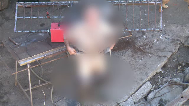 porci, capitala, barbat,