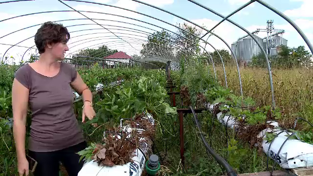 Fermierii români, învinși de birocrație. Mulți sunt nevoiți să-și vândă afacerile