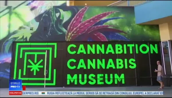 Muzeu dedicat canabisului deschis la Las Vegas: Suntem foarte entuziasmaţi