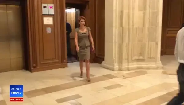 Lia Olguța Vasilescu intră la discuții în biroul lui Liviu Dragnea, înainte de CEx PSD