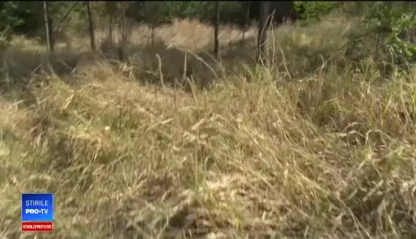 Bărbatul care a dispărut după ce a accidentat mașina firmei a fost găsit mort