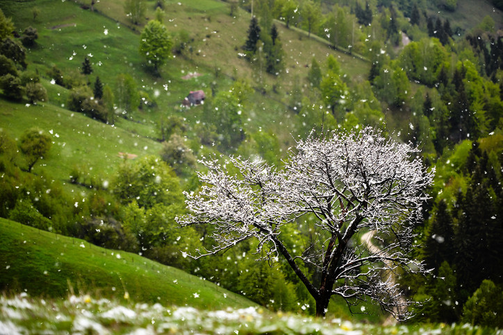 Vremea 22 septembrie 2018. Răcire bruscă, iar de săptămâna viitoare vin ninsorile