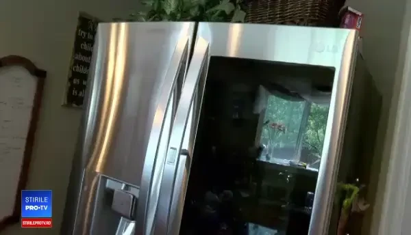 Suma uriașă pe care o femeie a pierdut-o după ce i-a fost colectat frigiderul
