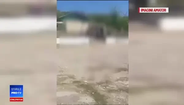 Primele declarații în cazul elevei bătute până la leșin: