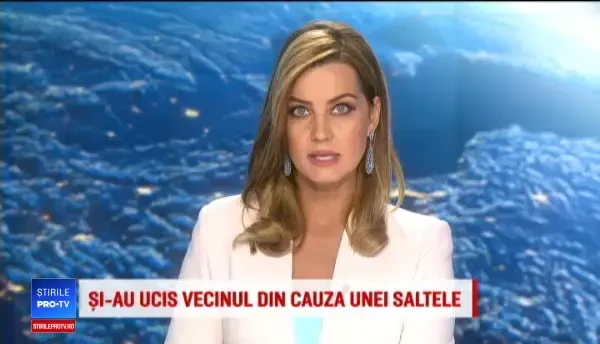 Momente de panică la bordul unui avion Air France. Aeronava nu a putut ateriza din cauza vântului